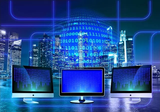 expert web design services