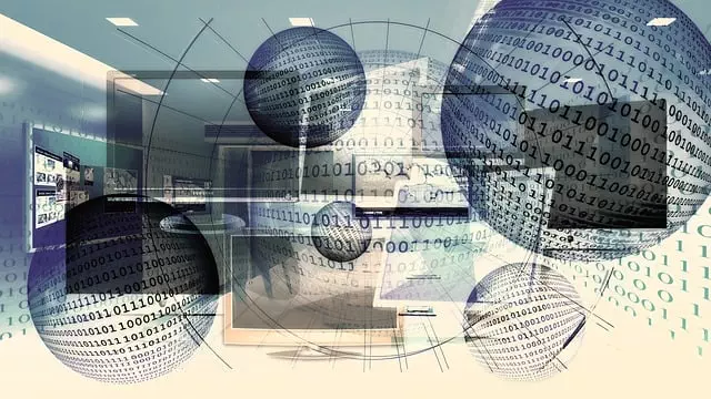 expert web design services