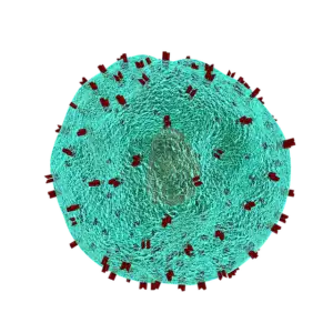 fat-cell-freezing-640x480-58404188.png