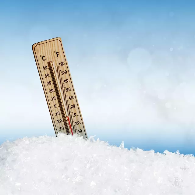 Freeze Fat Cells