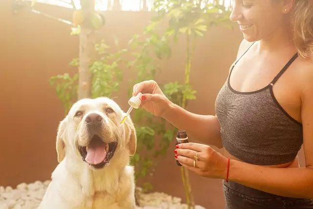 Full Spectrum Hemp Oil
