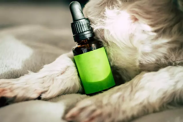Heavy Metals Testing for CBD