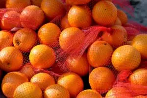 hemp-terpenes-for-sale-640x480-37452228.jpeg