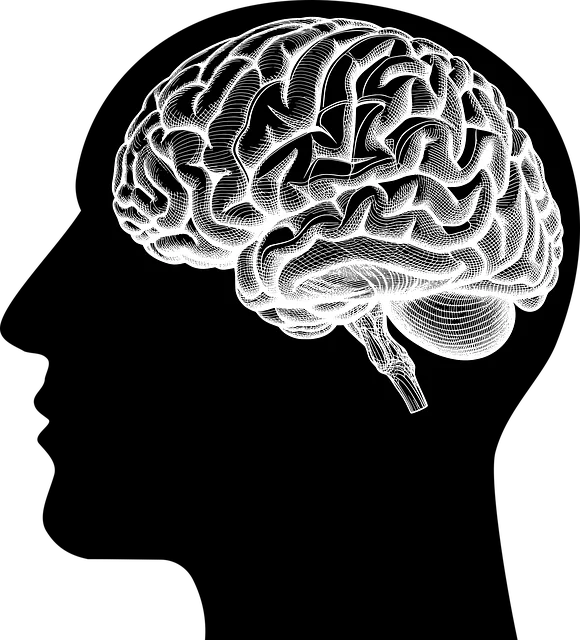 holistic mental health