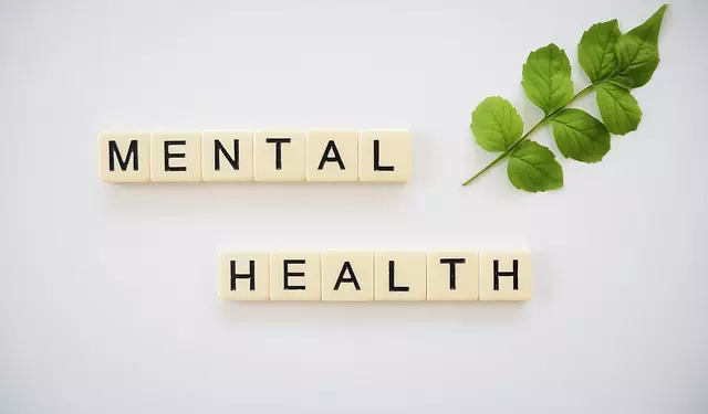 holistic mental health