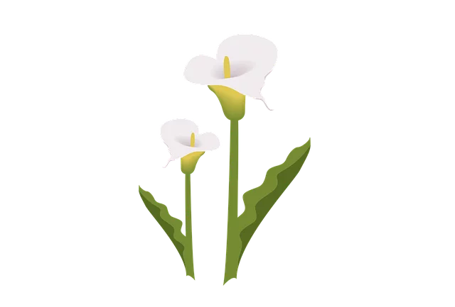holistic-spa-640x480-38306369.png