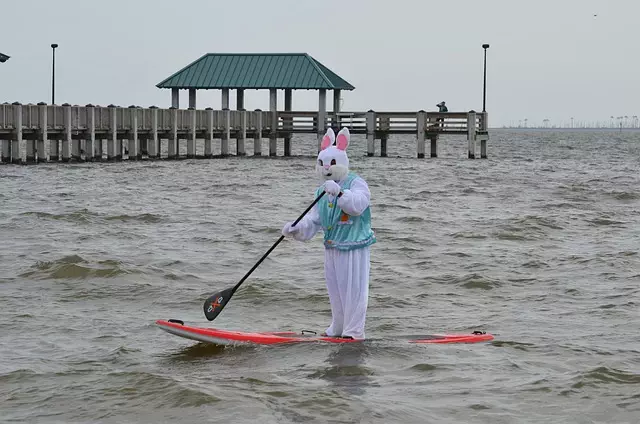 inflatable-paddle-board-640x480-51109729.jpeg