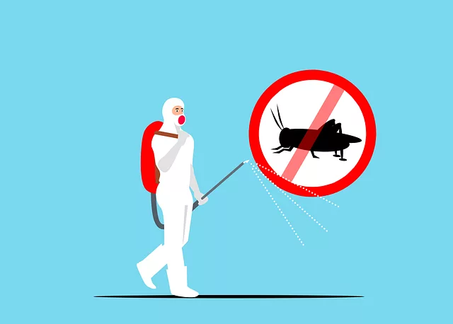 insect control services