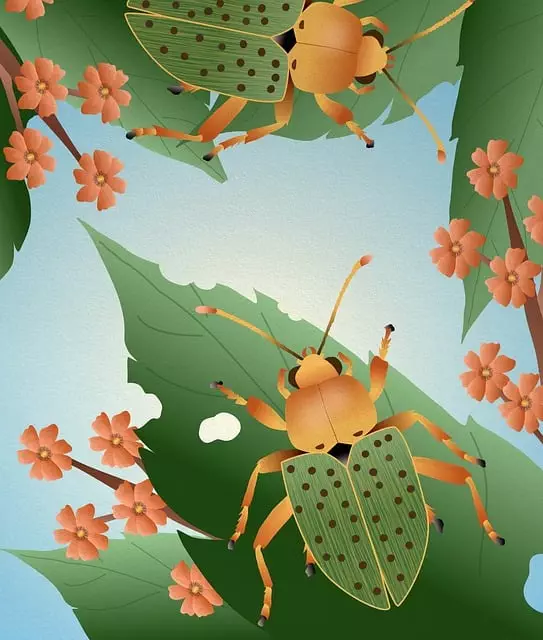insect control services