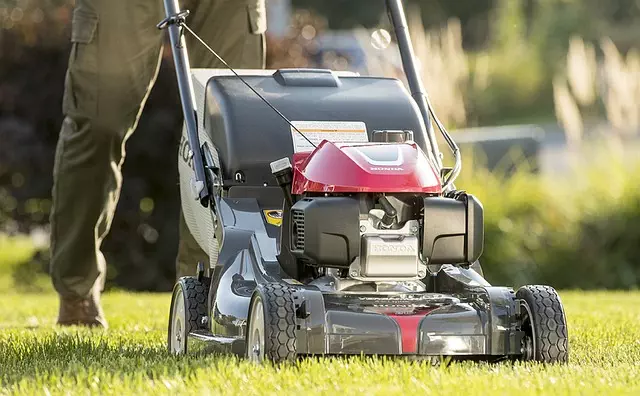 Lawn Care