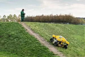 lawn-care-640x480-46487196.jpeg