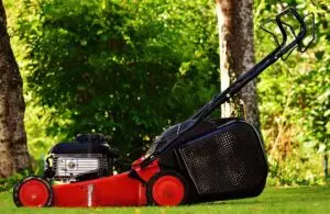 lawn-care-640x480-76402754.jpeg