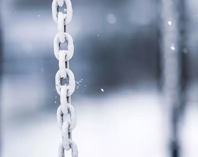 Link Building