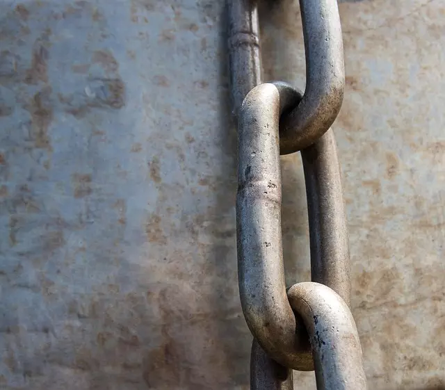 Link Building