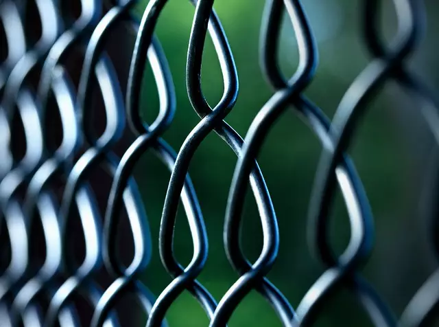 Link Building