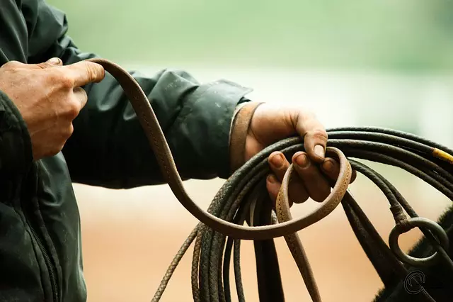 Link Building