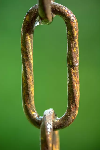 Link Building