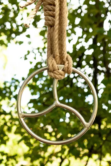 Link Building