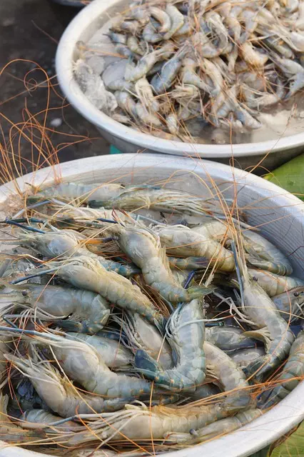 Local Food