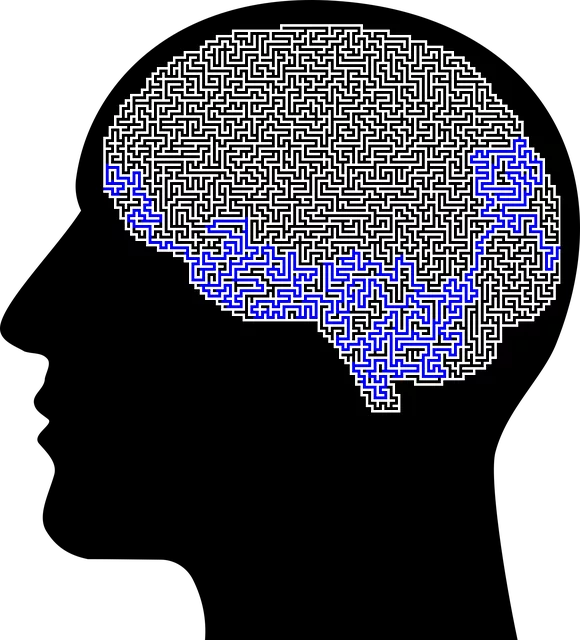 mental-health-counseling-640x480-9507466.png