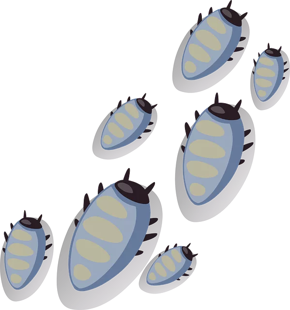 mosquito and tick control