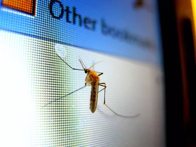 mosquito and tick control