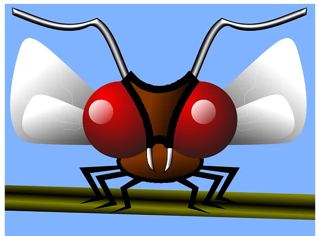 mosquito-control-640x480-22630748.png