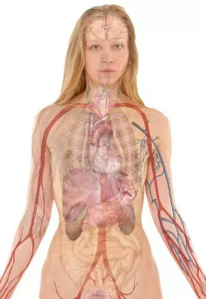 non-surgical-body-contouring-640x480-30057238.jpeg
