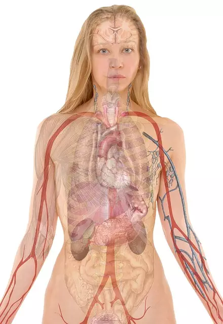 Non-Surgical Body Contouring