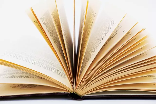 On-Page Optimization Training