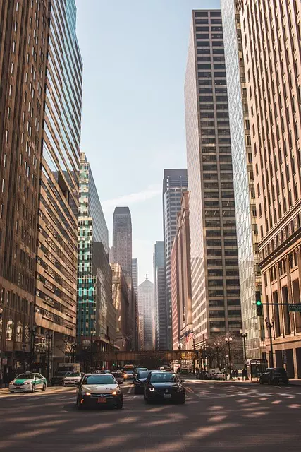 Organic Traffic