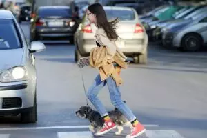 organic-traffic-640x480-44784040.jpeg