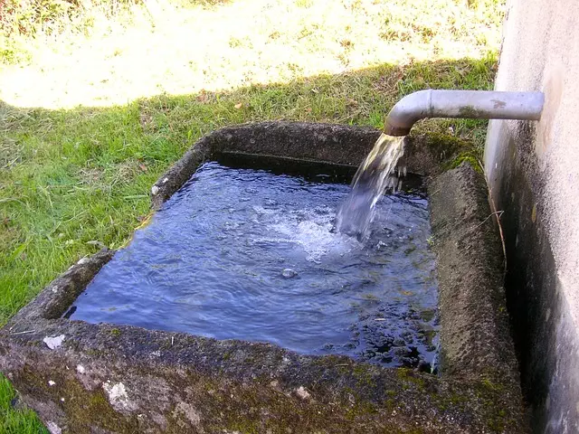 Pipe Repair