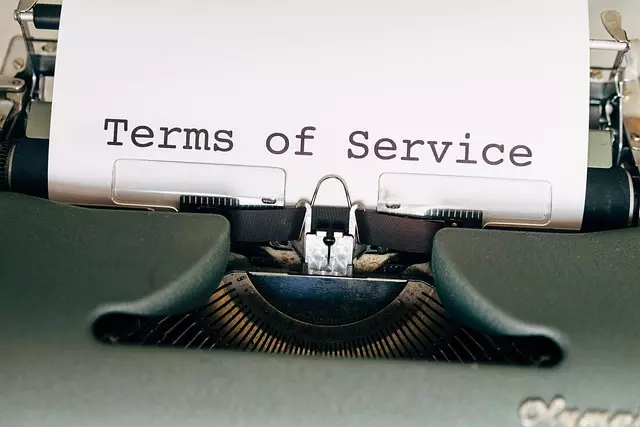 Professional SEO Programs