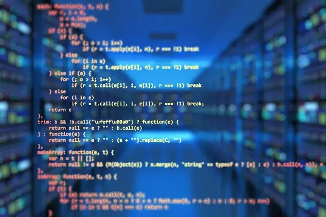 Professional SEO Programs