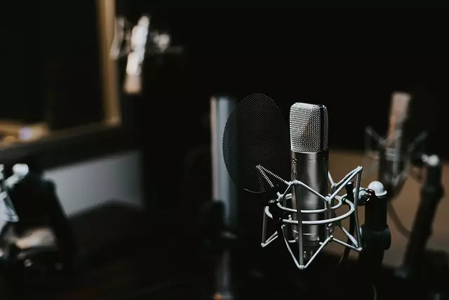 Professional SEO Programs