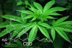 Unlocking Pet Health with Pure CBD Isolate: Safe Solutions for Common Issues