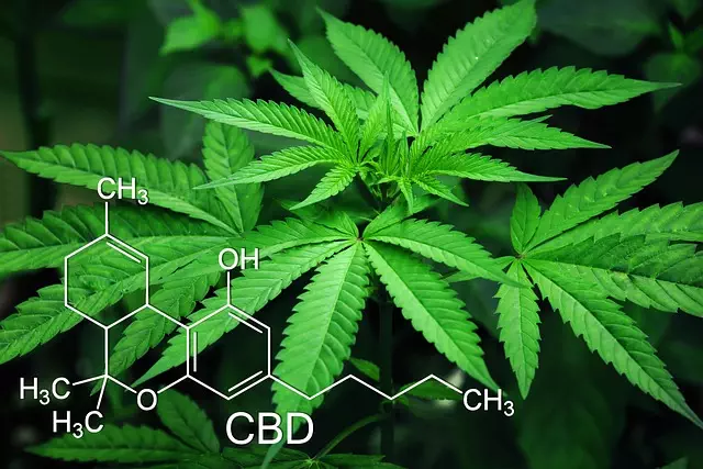 pure-cbd-isolate-640x480-64051223.jpeg