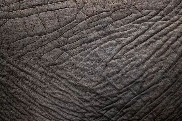 RF Skin Resurfacing
