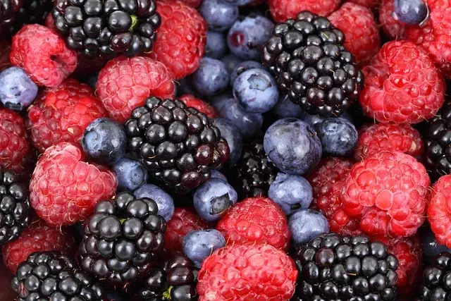 semaglutide diet program