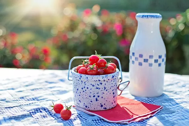 semaglutide diet program