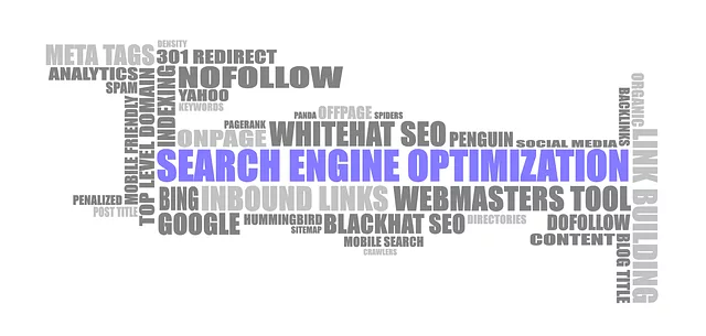 seo-audit-640x480-3672803.png