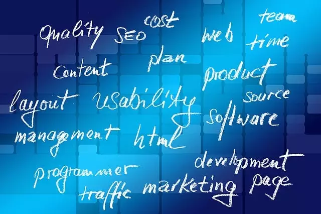 SEO Certification Program