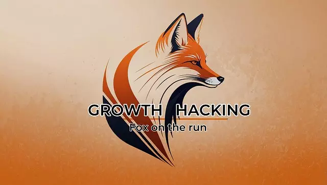 SEO Growth Strategies