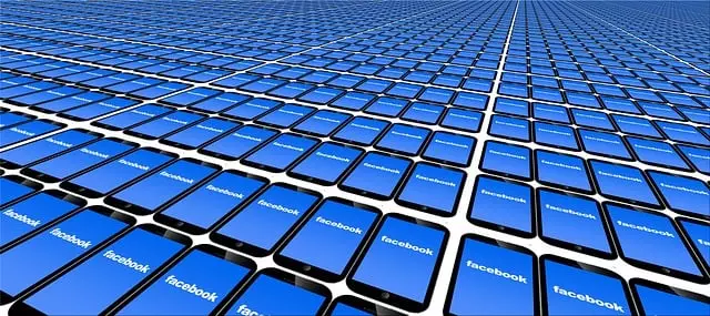 SEO Services for New Websites