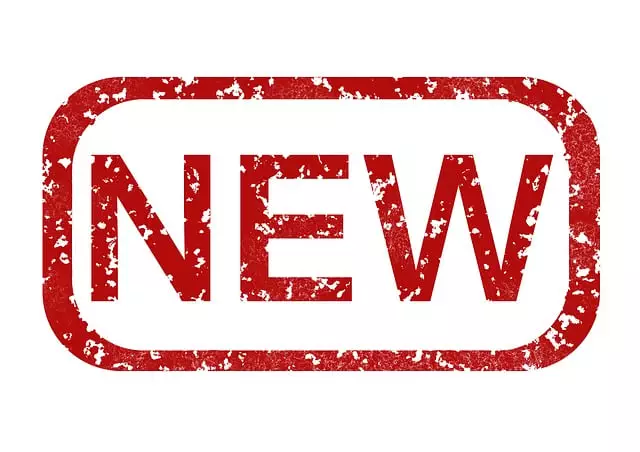 SEO Services for New Websites