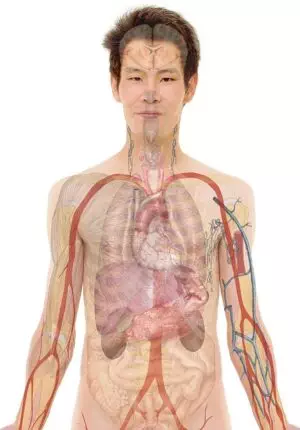 skin-tightening-with-morpheus8-640x480-40398118.jpeg