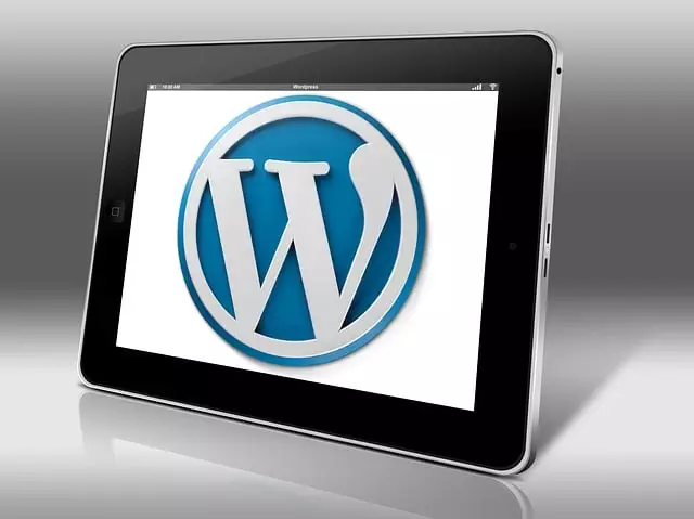 small business web designers