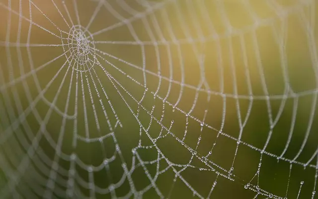 small business web designers