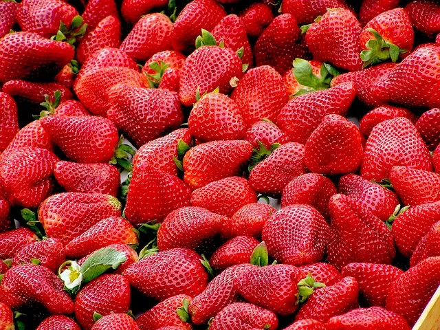 Strawberry Rosin Gummies